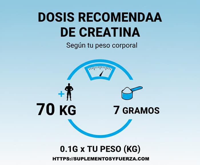 Guía visual sobre cómo tomar creatina según el peso corporal.
